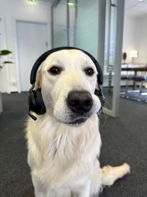 Hundeauslaufgebiet-Milü Versicherungsmakler-Bild