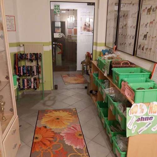 Hundeauslaufgebiet-Fell-issimo Hunde - & Katzensalon-Bild