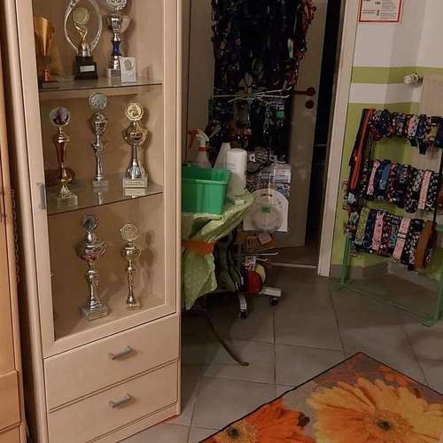 Hundeauslaufgebiet-Fell-issimo Hunde - & Katzensalon-Bild