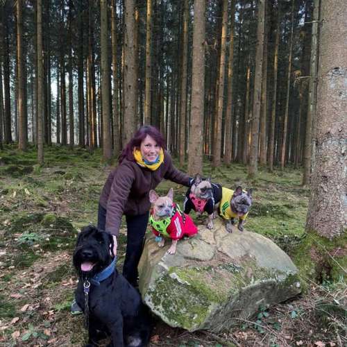 Hundeauslaufgebiet-Fell-issimo Hunde - & Katzensalon-Bild