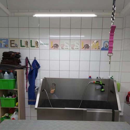 Hundeauslaufgebiet-Fell-issimo Hunde - & Katzensalon-Bild