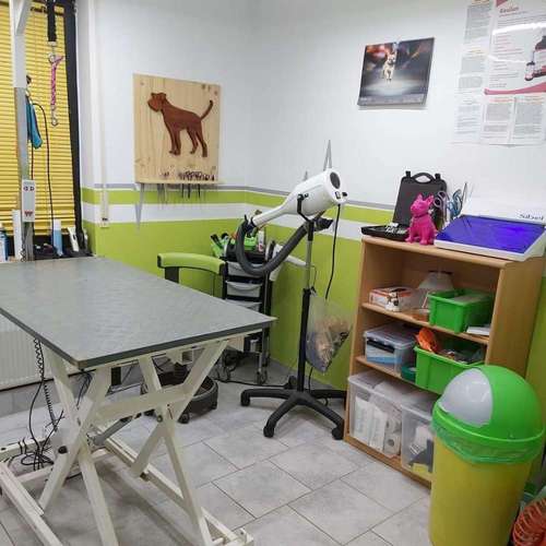 Hundeauslaufgebiet-Fell-issimo Hunde - & Katzensalon-Bild