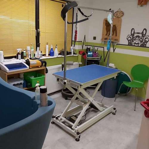 Hundeauslaufgebiet-Fell-issimo Hunde - & Katzensalon-Bild