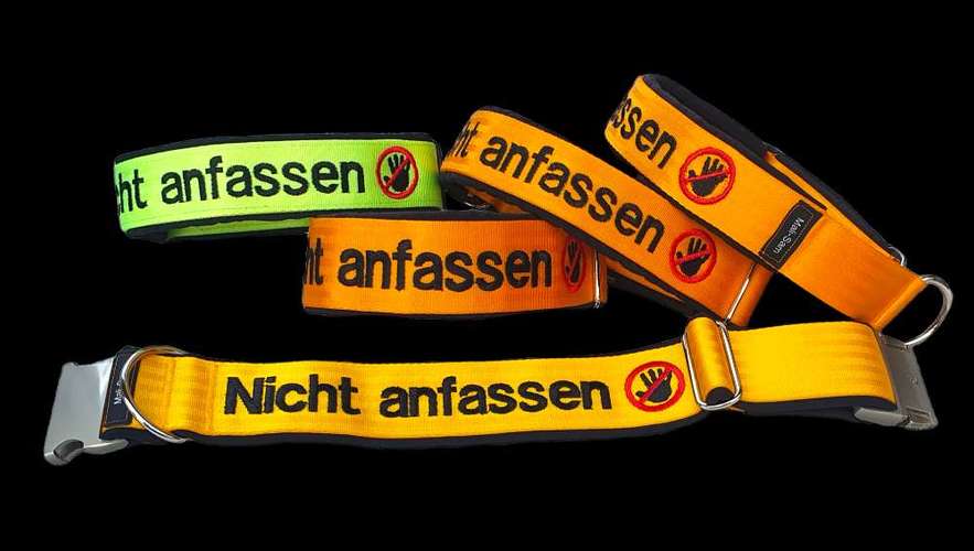 Hundeauslaufgebiet-Mali-Sam-Bild