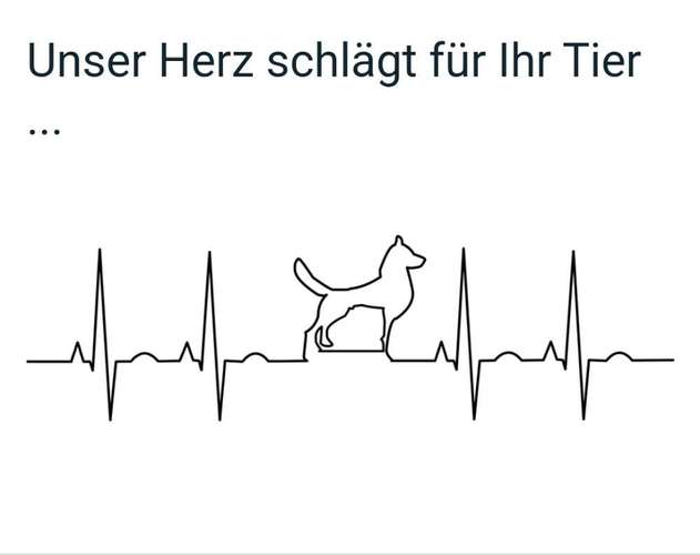 Hundeauslaufgebiet-Tierarztpraxis zur Schmiede-Bild