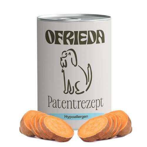 Hundeauslaufgebiet-Ofrieda-Bild