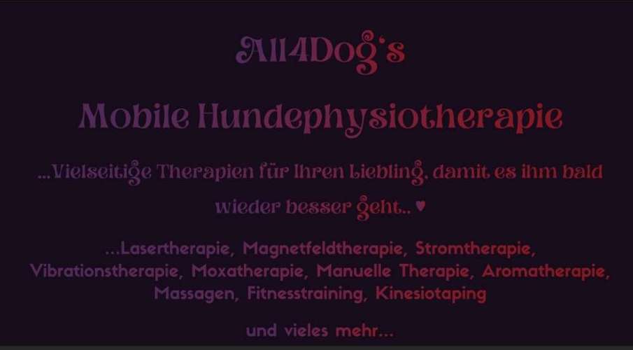 Hundeauslaufgebiet-All4Dog's Hundephysiotherapie-Bild