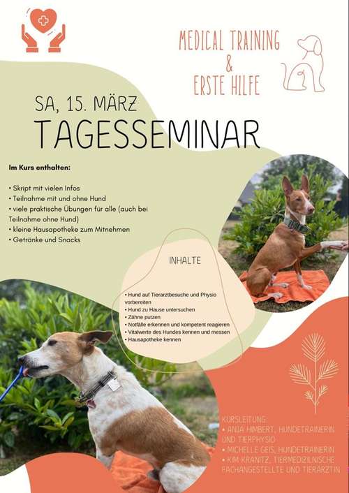 Hundeauslaufgebiet-Michelle Geis-Bild