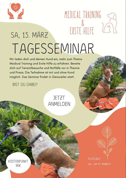 Hundeauslaufgebiet-Michelle Geis-Bild