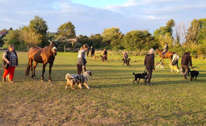 Hundeauslaufgebiet-Hundefreunde-Waldesruh -Bild