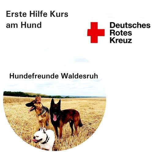 Hundeauslaufgebiet-Hundefreunde-Waldesruh -Bild