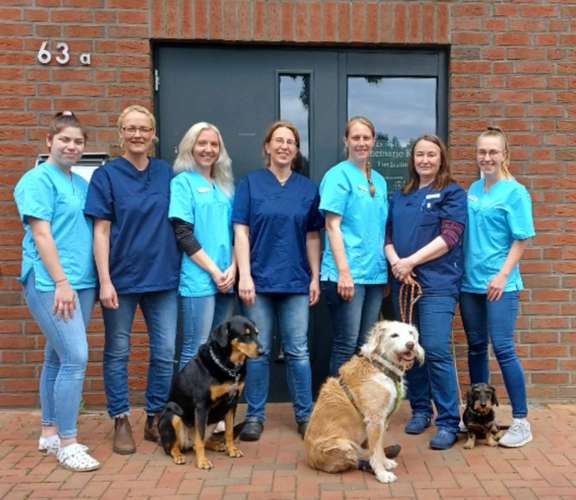 Hundeauslaufgebiet-Dr. med. vet. Annemarie Krull-Bild