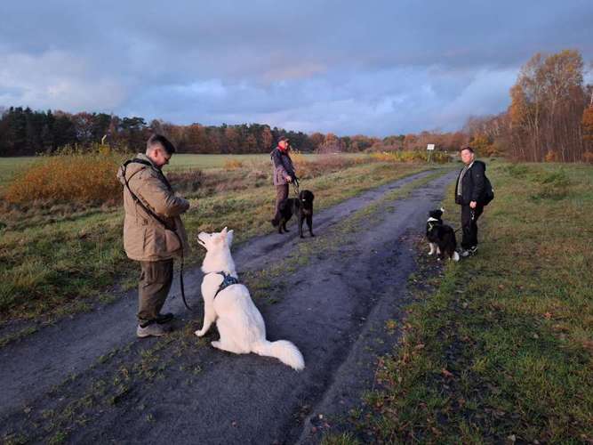 Hundeauslaufgebiet-Fair4Dogs Mobile Hundeschule Birgit Mink-Bild