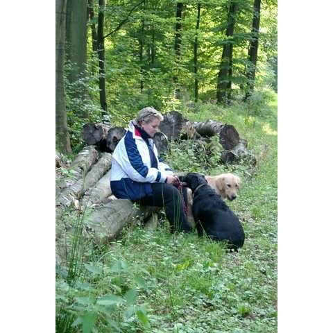 Hundeauslaufgebiet-Mobile Hundeschule VITHO -Bild