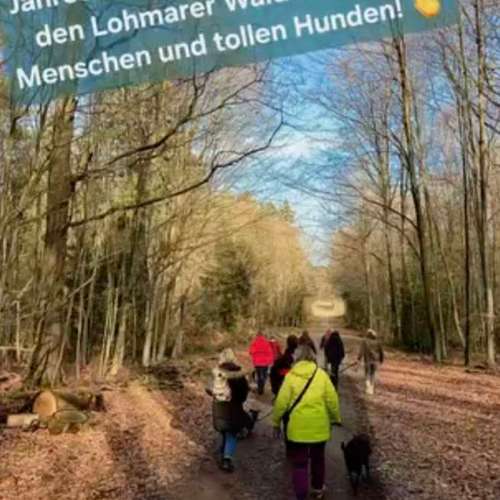 Hundeauslaufgebiet-Mobile Hundeschule VITHO -Bild