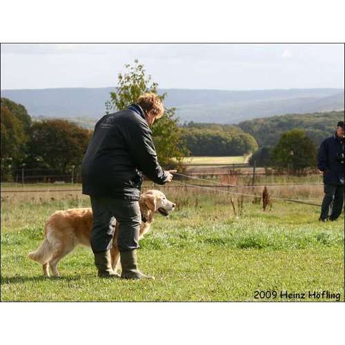 Hundeauslaufgebiet-Mobile Hundeschule VITHO -Bild