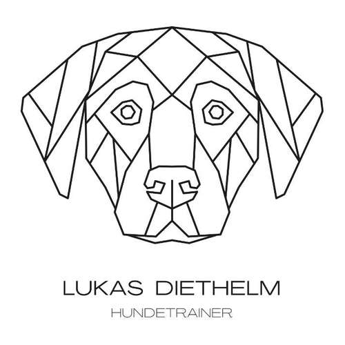 Hundeauslaufgebiet-Hundetrainer Lukas-Bild