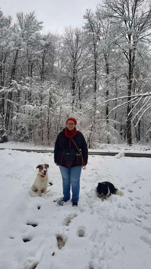 Hundeauslaufgebiet-Coaching für Mensch und Hund-Bild