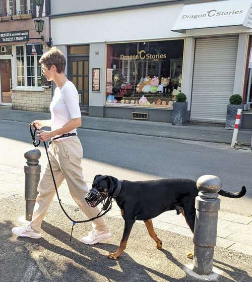 Hundeauslaufgebiet-Coaching für Mensch und Hund-Bild