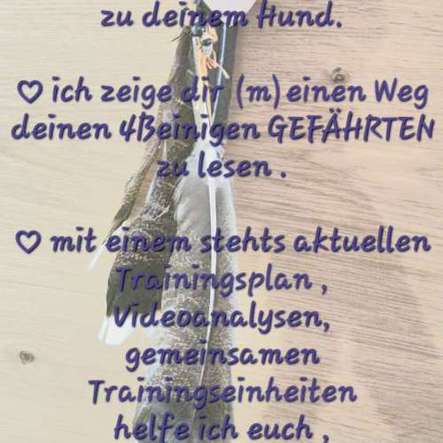 Hundeauslaufgebiet-Alexandra Reiter-Bild