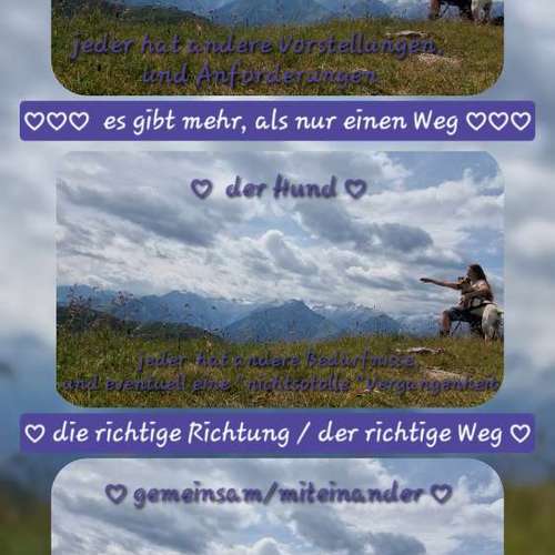 Hundeauslaufgebiet-Alexandra Reiter-Bild