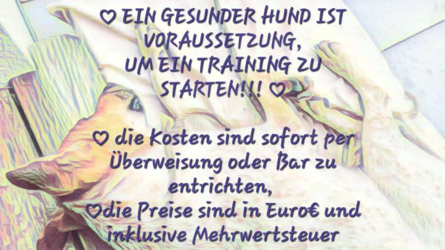Hundeauslaufgebiet-Alexandra Reiter-Bild