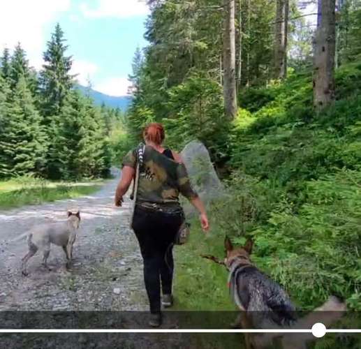 Hundeauslaufgebiet-Alexandra Reiter-Bild