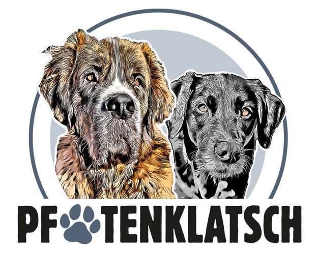 Hundeauslaufgebiet-Pfotenklatsch Gassi-Service-Bild