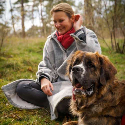 Hundeauslaufgebiet-Pfotenklatsch Gassi-Service-Bild