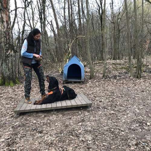 Hundeauslaufgebiet-Ein starkes Team            Marion Trier-Bild