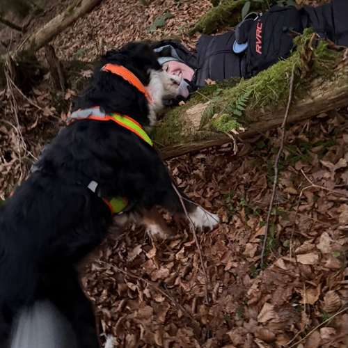 Hundeauslaufgebiet-Ein starkes Team            Marion Trier-Bild