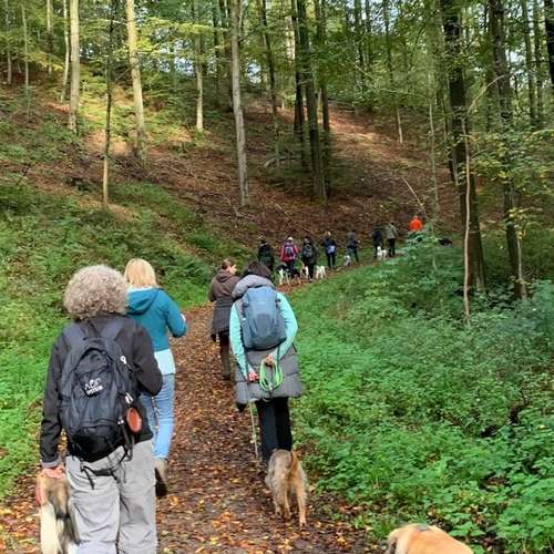 Hundeauslaufgebiet-Ein starkes Team            Marion Trier-Bild