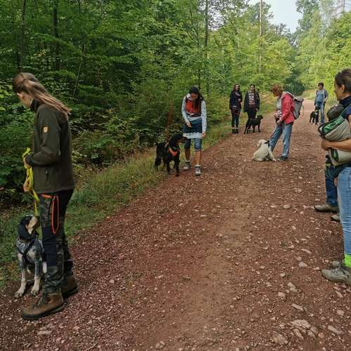 Hundeauslaufgebiet-Ein starkes Team            Marion Trier-Bild