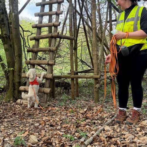 Hundeauslaufgebiet-Ein starkes Team            Marion Trier-Bild