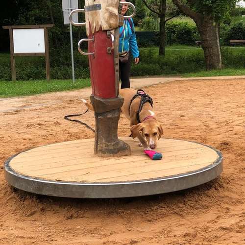 Hundeauslaufgebiet-Ein starkes Team            Marion Trier-Bild