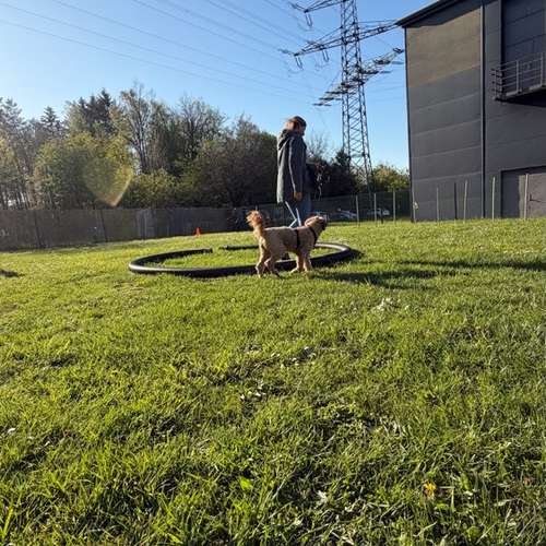 Hundeauslaufgebiet-Ein starkes Team            Marion Trier-Bild