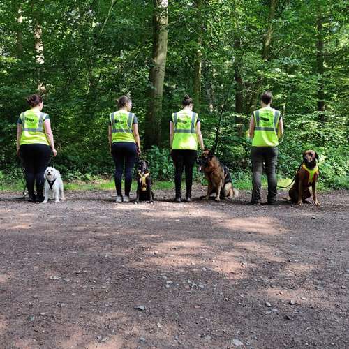 Hundeauslaufgebiet-Ein starkes Team            Marion Trier-Bild
