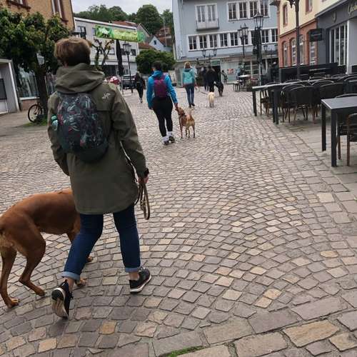 Hundeauslaufgebiet-Ein starkes Team            Marion Trier-Bild