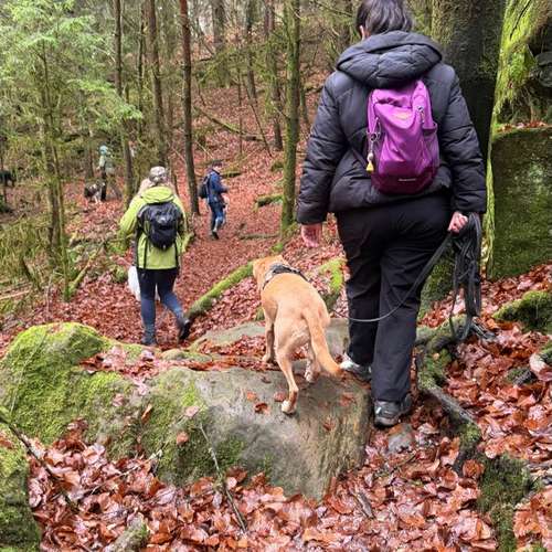 Hundeauslaufgebiet-Ein starkes Team            Marion Trier-Bild