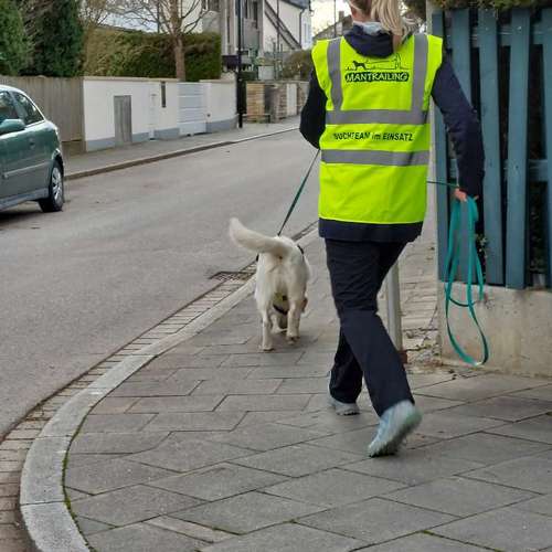 Hundeauslaufgebiet-MEHR Hundeschule-Bild