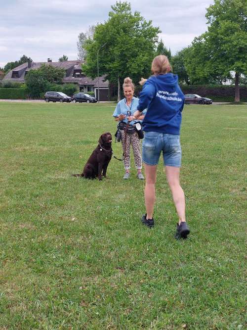 Hundeauslaufgebiet-MEHR Hundeschule-Bild