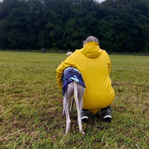 Hundeauslaufgebiet-MEHR Hundeschule-Bild