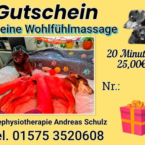 Hundeauslaufgebiet-Hundephysiotherapie Andreas Schulz-Bild