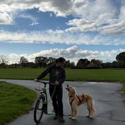 Hundeauslaufgebiet-Hundeschule Hannover Hunde-Bild