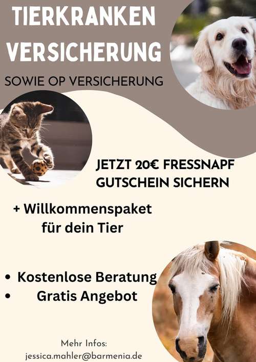 Hundeauslaufgebiet-Barmenia Versicherung Jessica Mahler-Bild