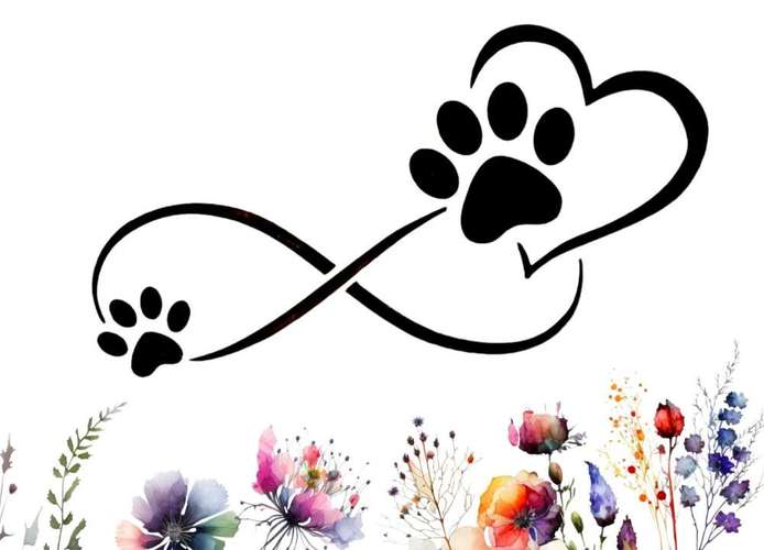 Hundeauslaufgebiet-Hundeschule Pfötchenliebe-Bild