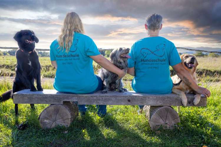 Hundeauslaufgebiet-Hundeschule Pfötchenliebe-Bild