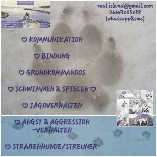 Hundeauslaufgebiet-Alexandra Reiter-Bild