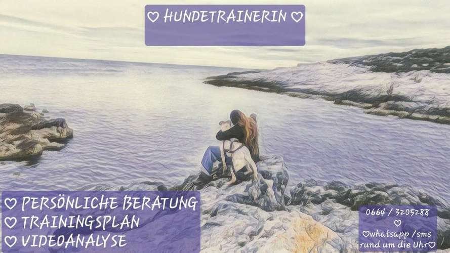 Hundeauslaufgebiet-Alexandra Reiter-Bild