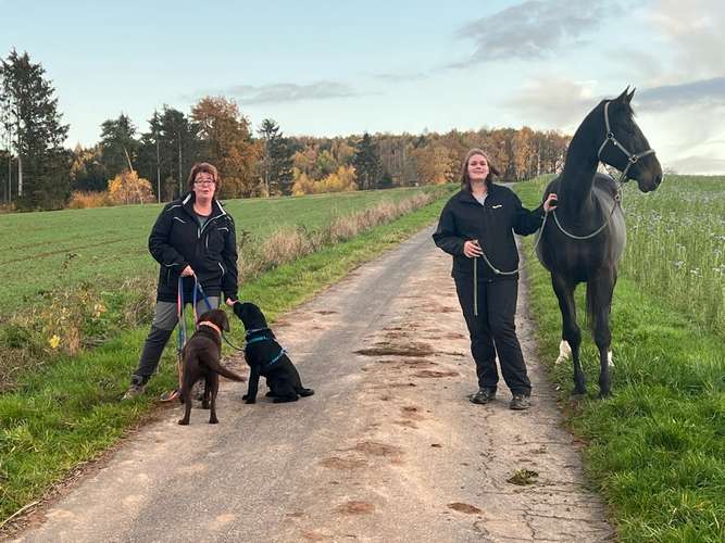 Hundeauslaufgebiet-Heikes Hundetreff-Bild